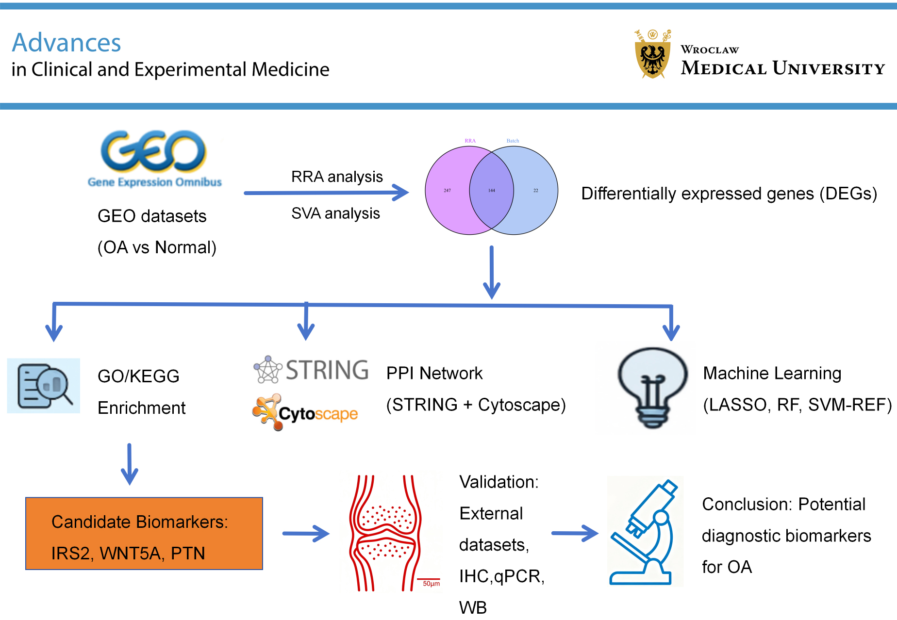 Graphical abstracts