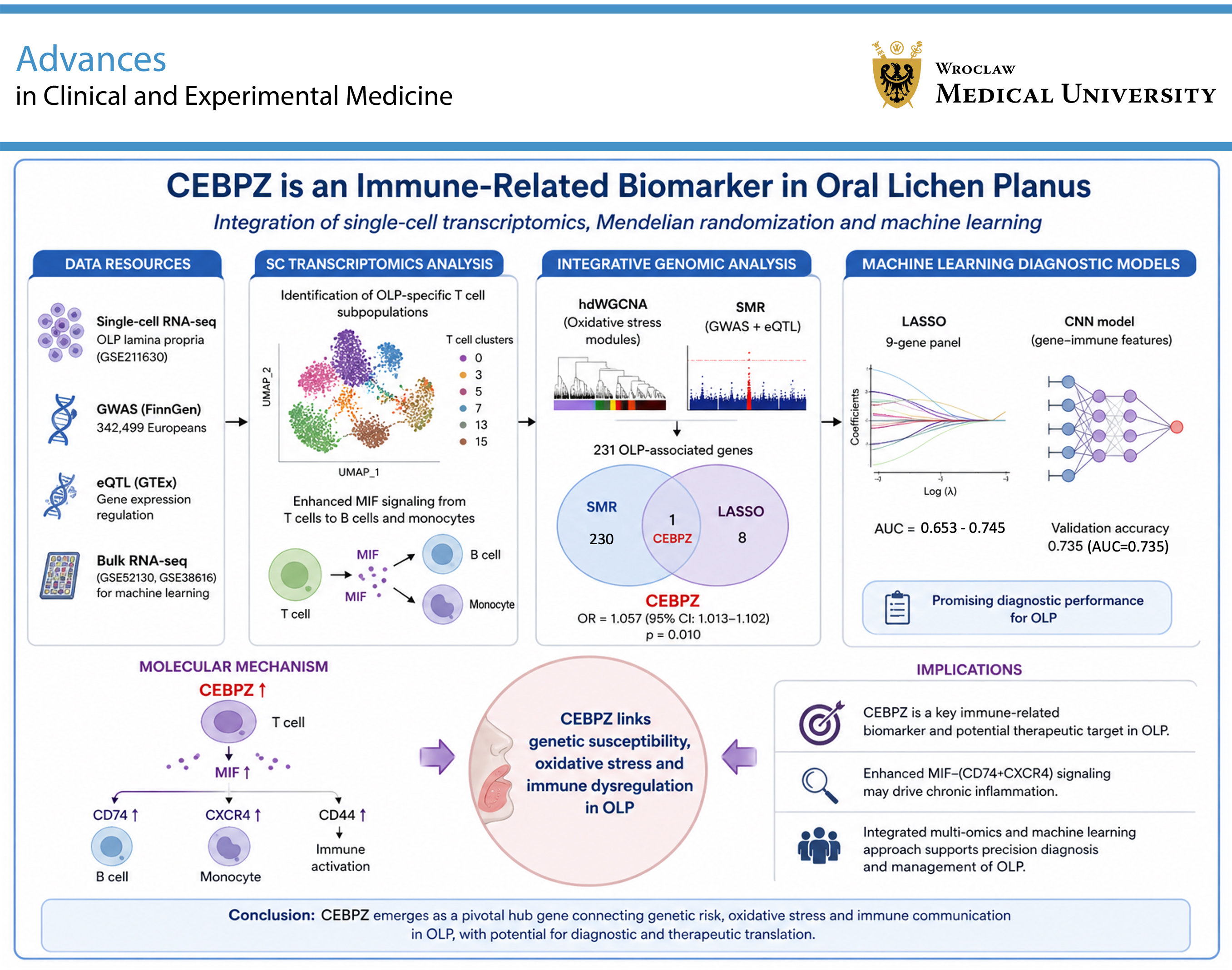 Graphical abstracts
