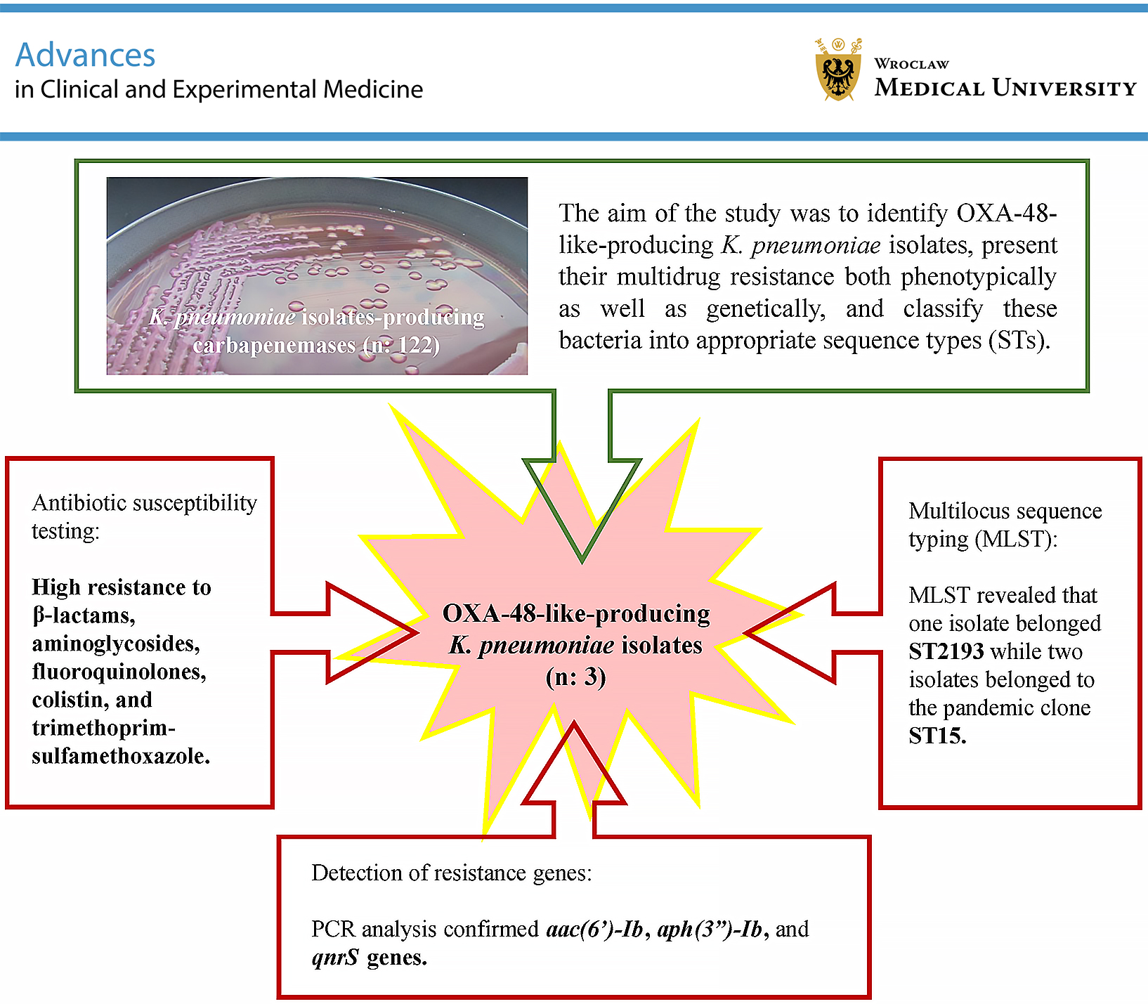 Graphical abstracts