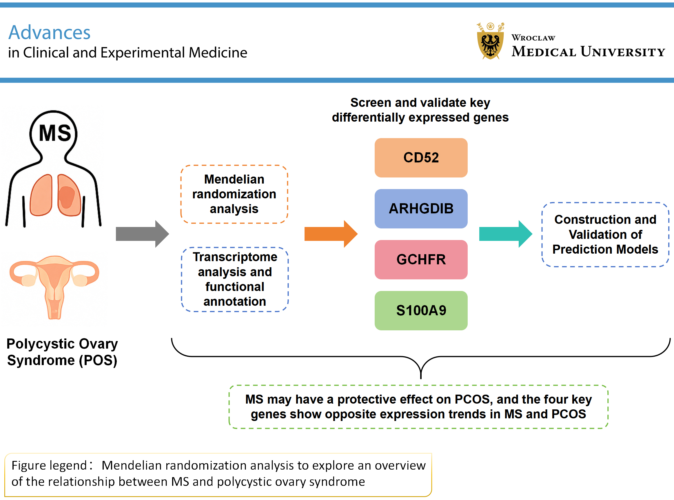 Graphical abstracts