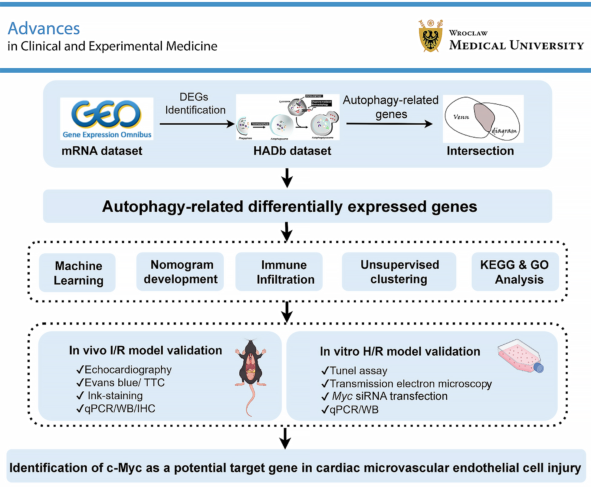 Graphical abstracts