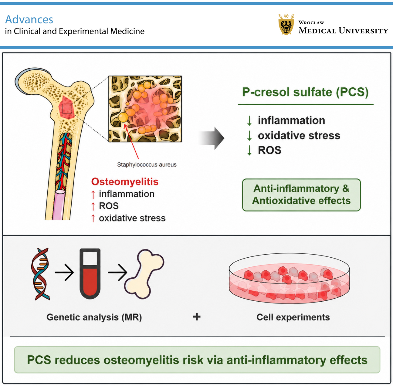Graphical abstracts