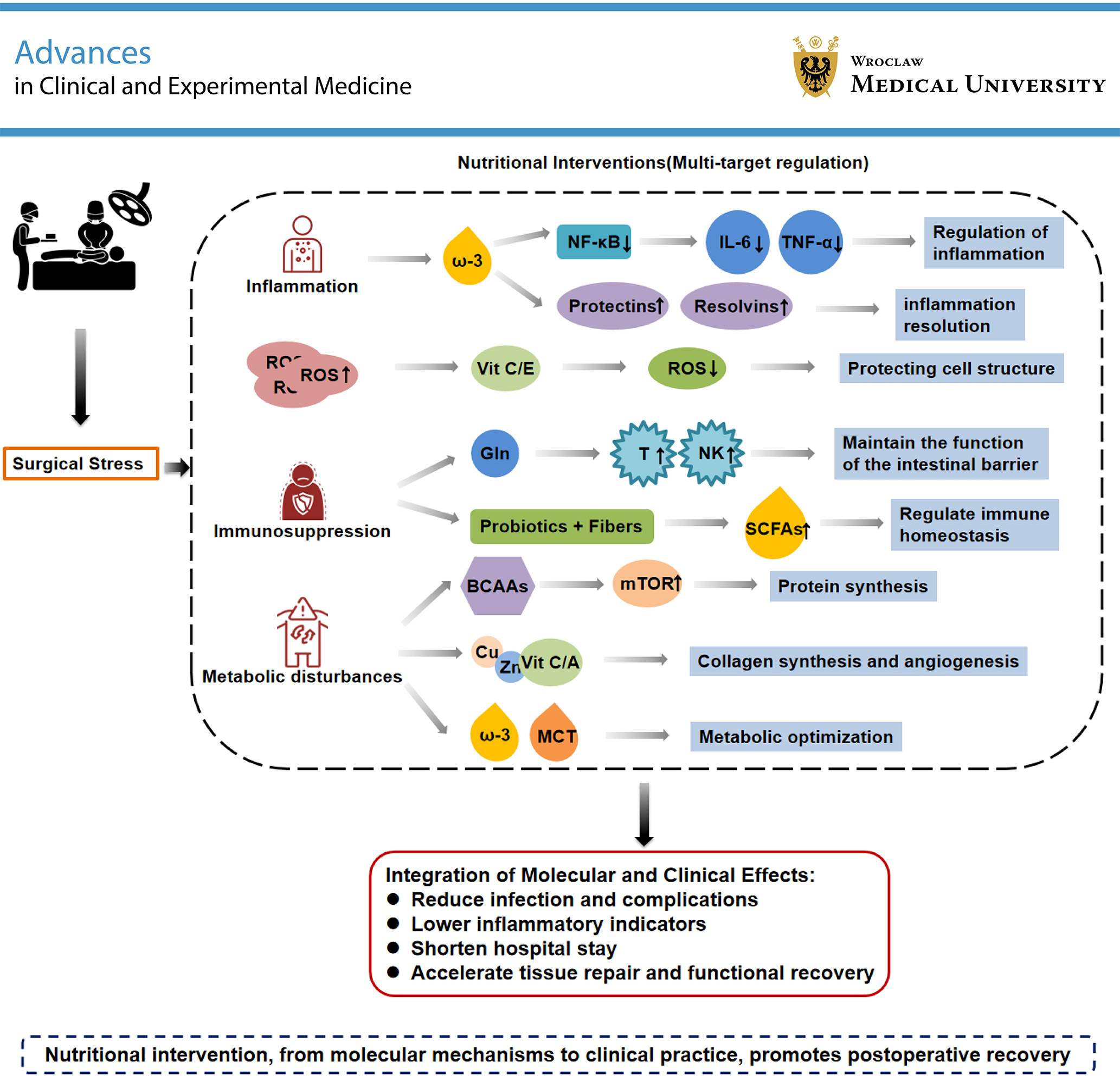 Graphical abstracts