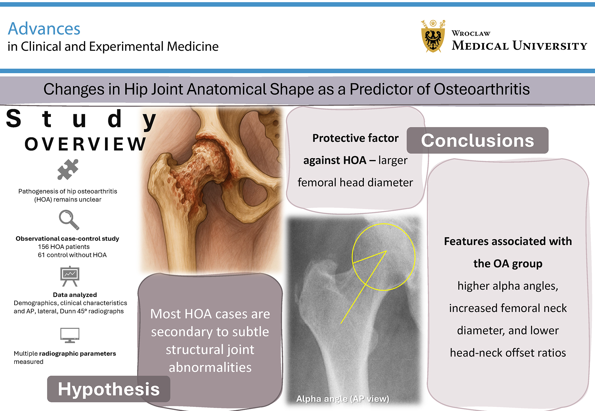 Graphical abstracts