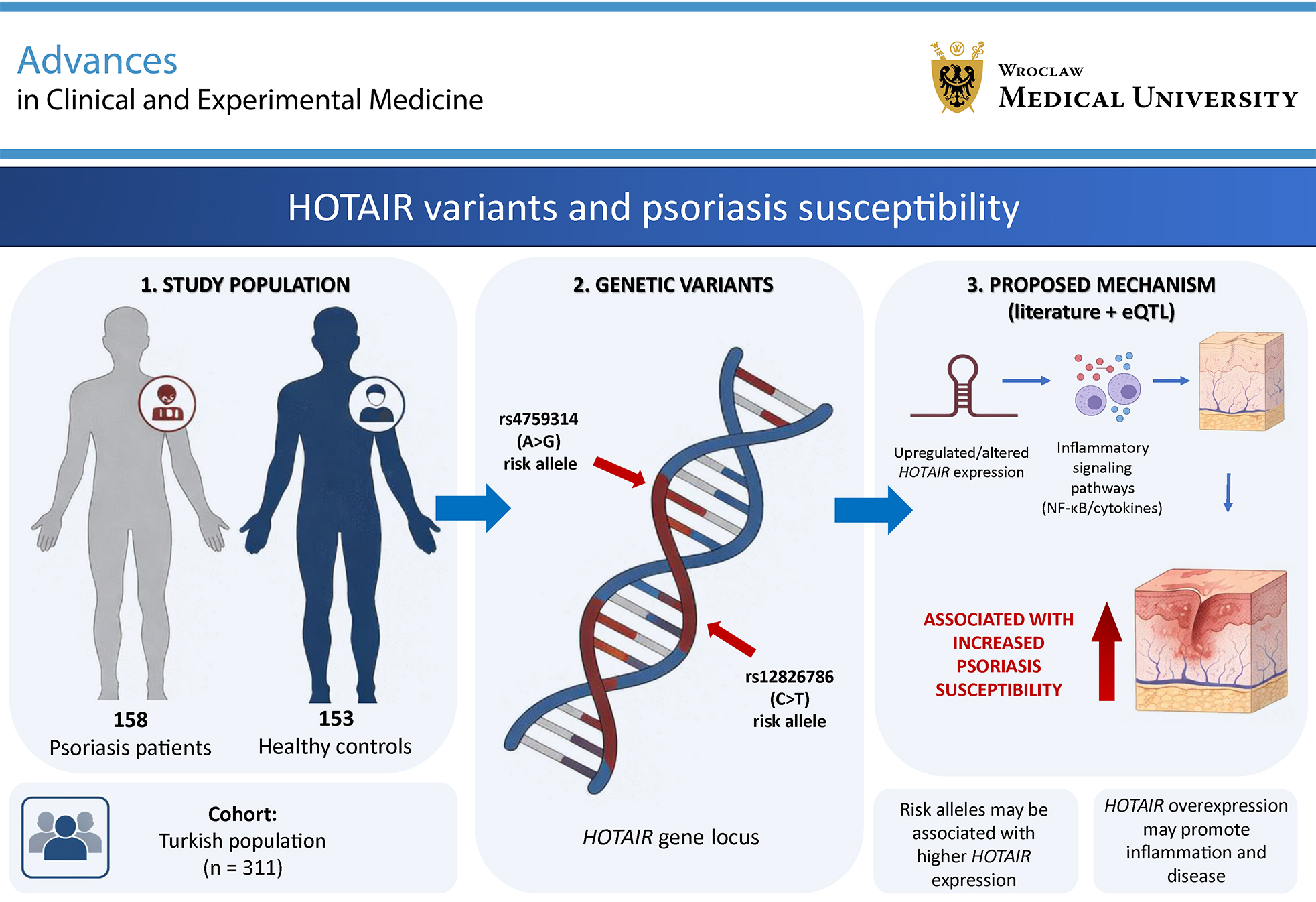 Graphical abstracts