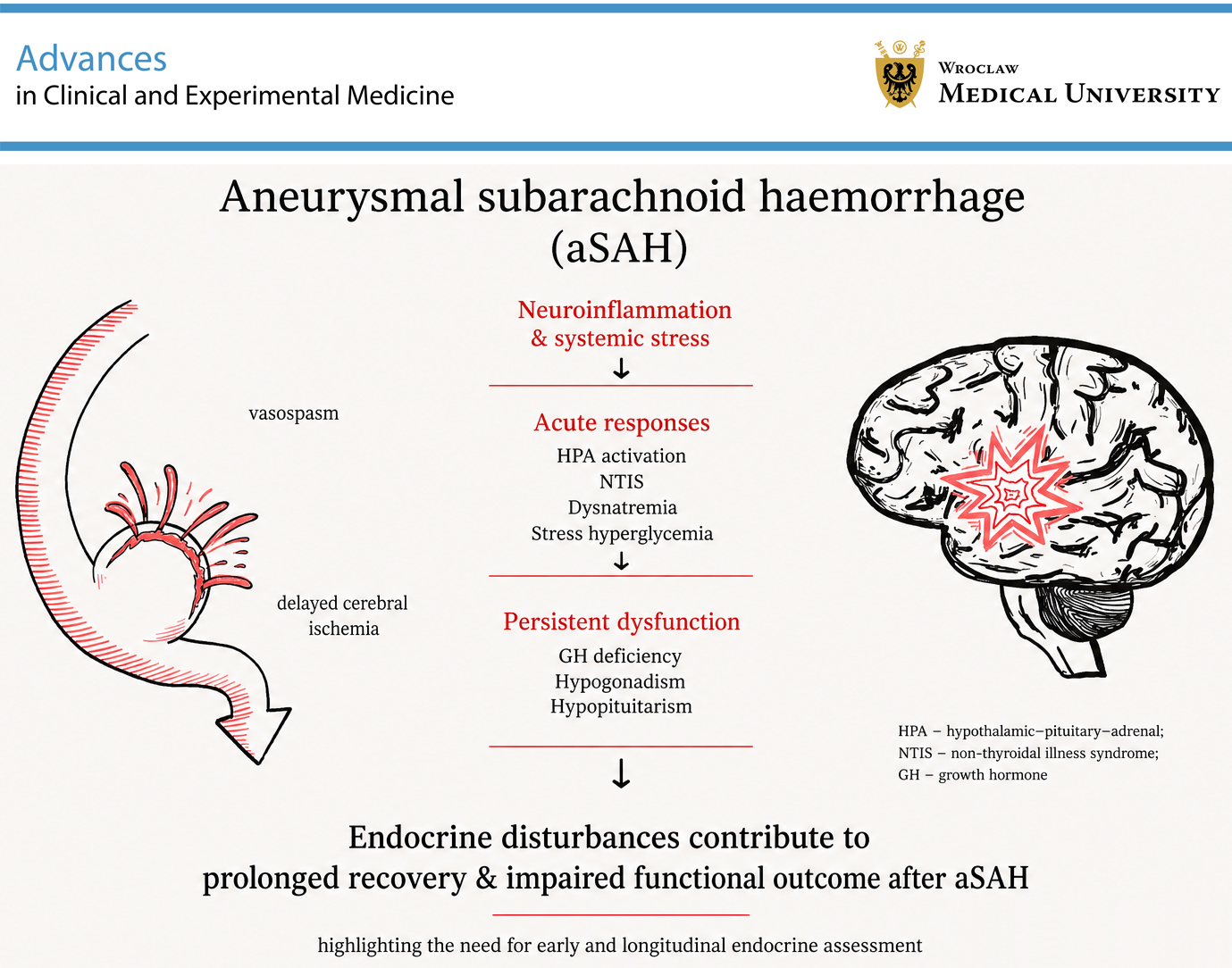 Graphical abstracts
