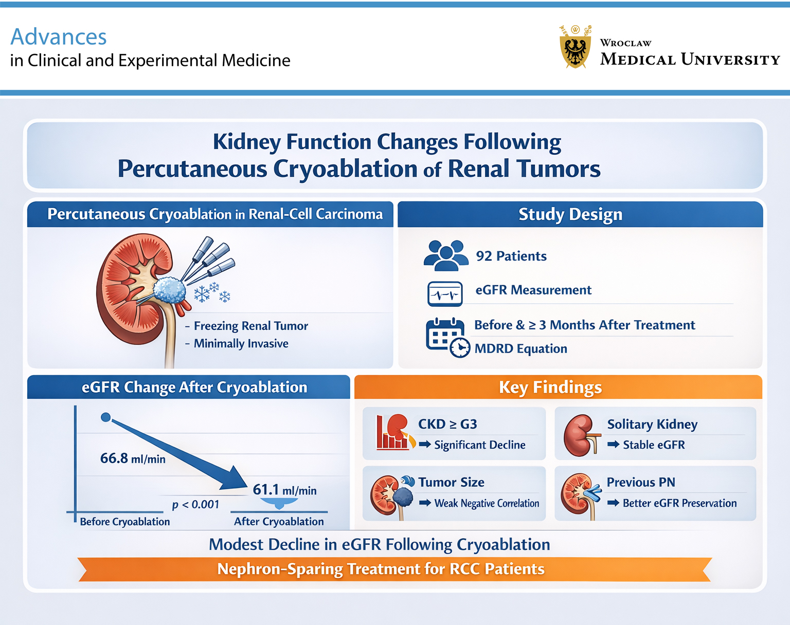 Graphical abstracts
