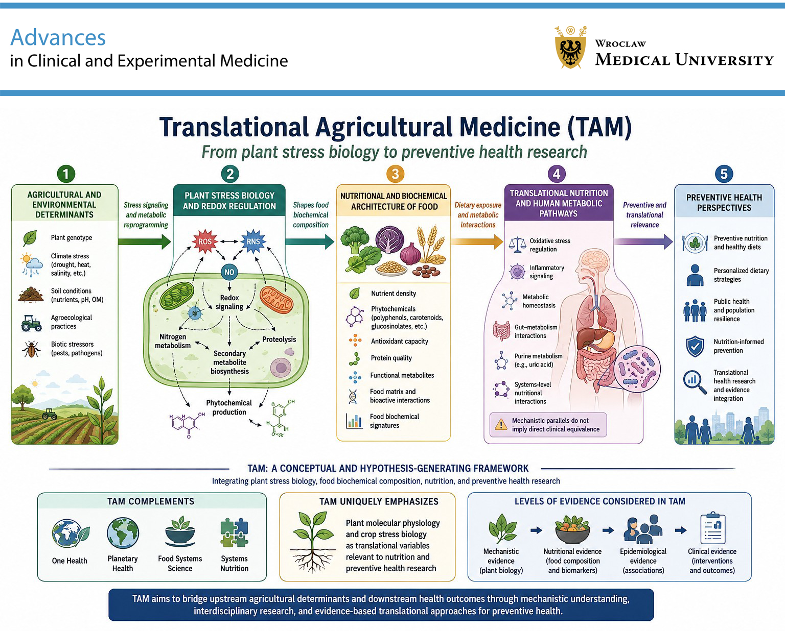 Graphical abstracts
