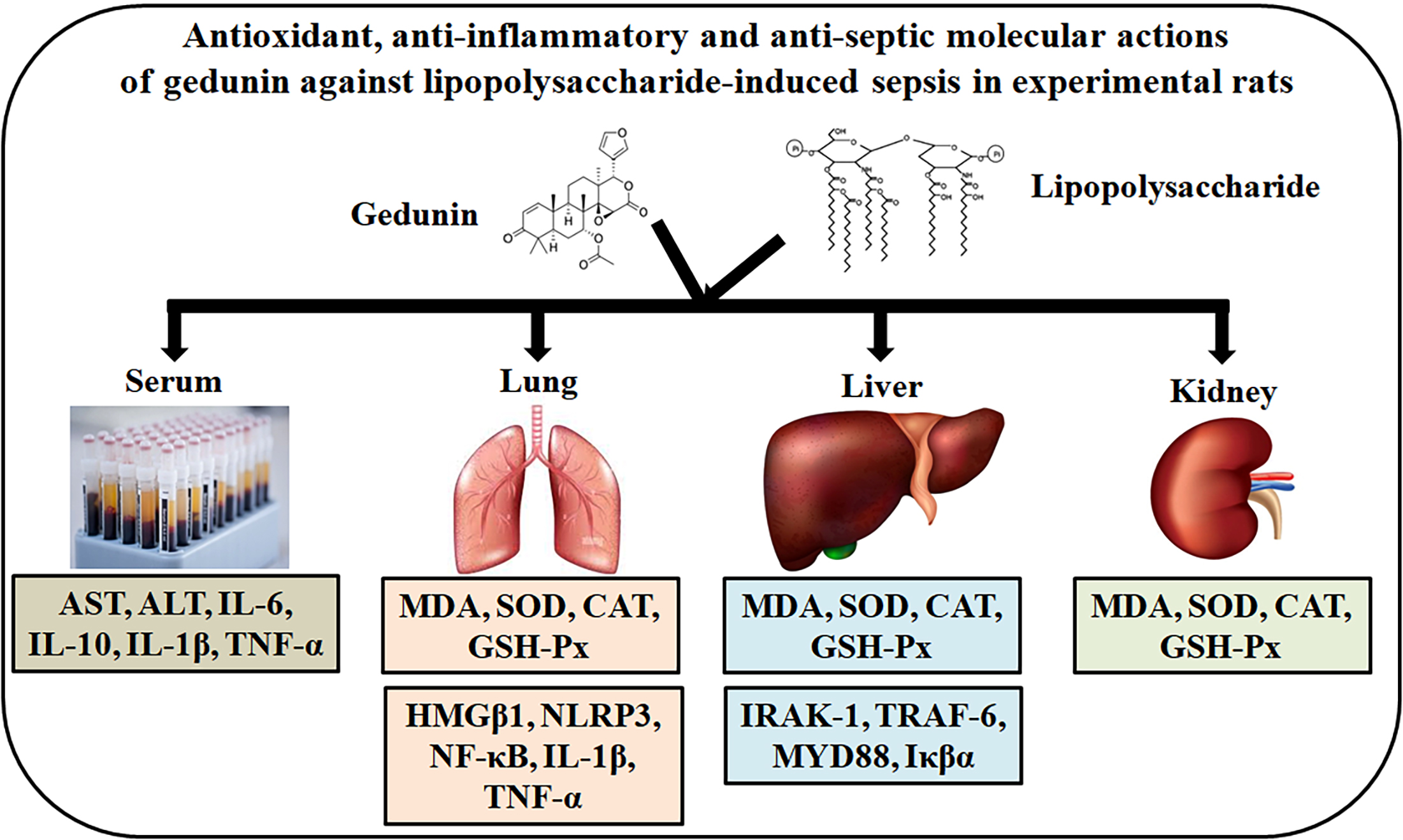 Graphical abstracts