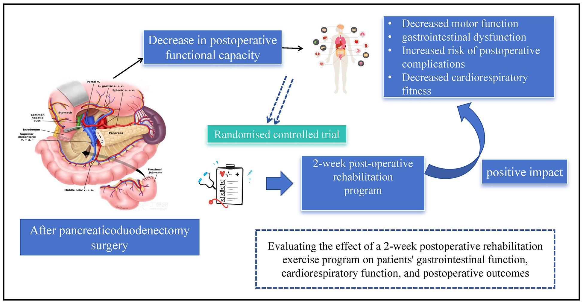 Graphical abstracts
