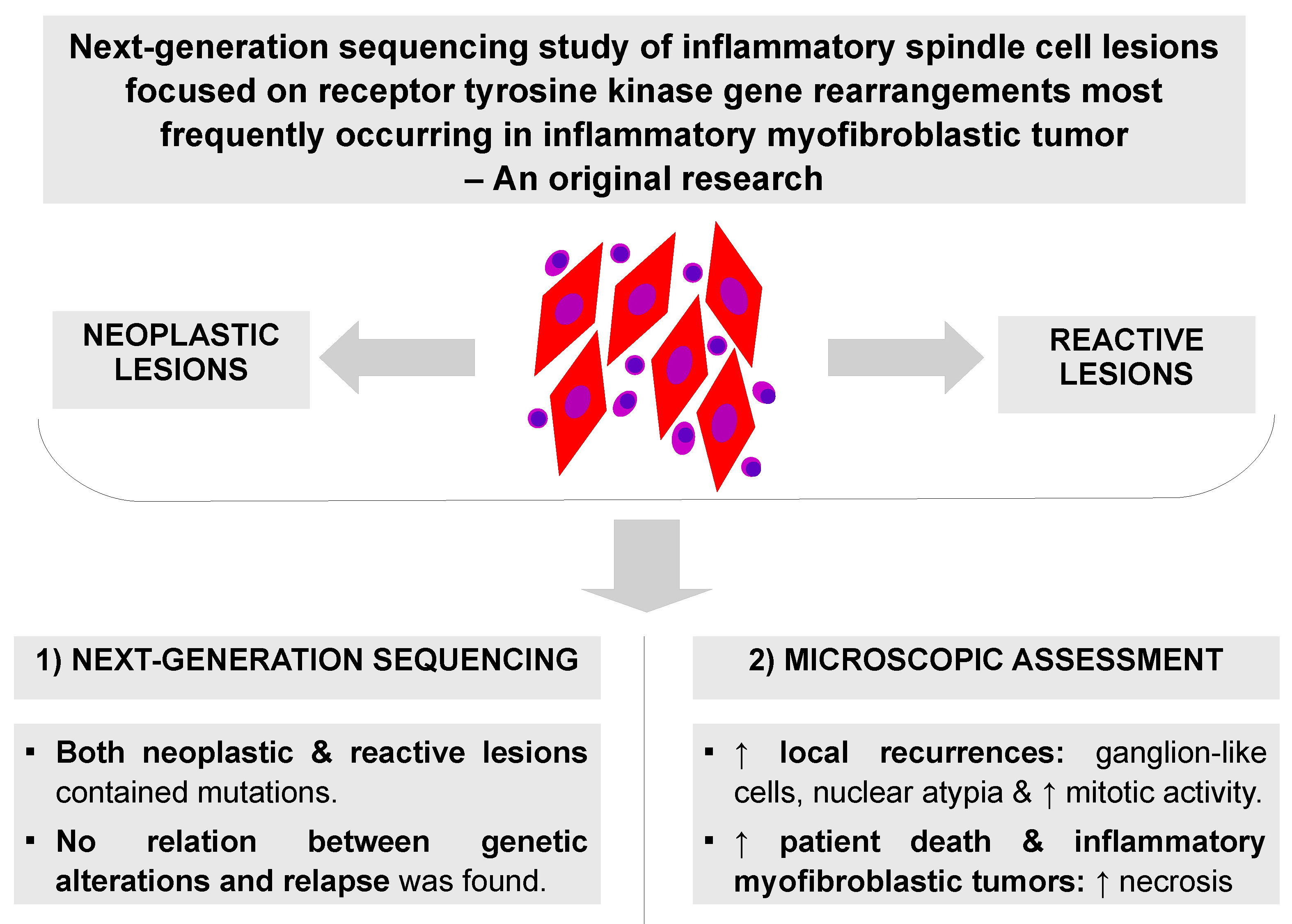 Graphical abstracts