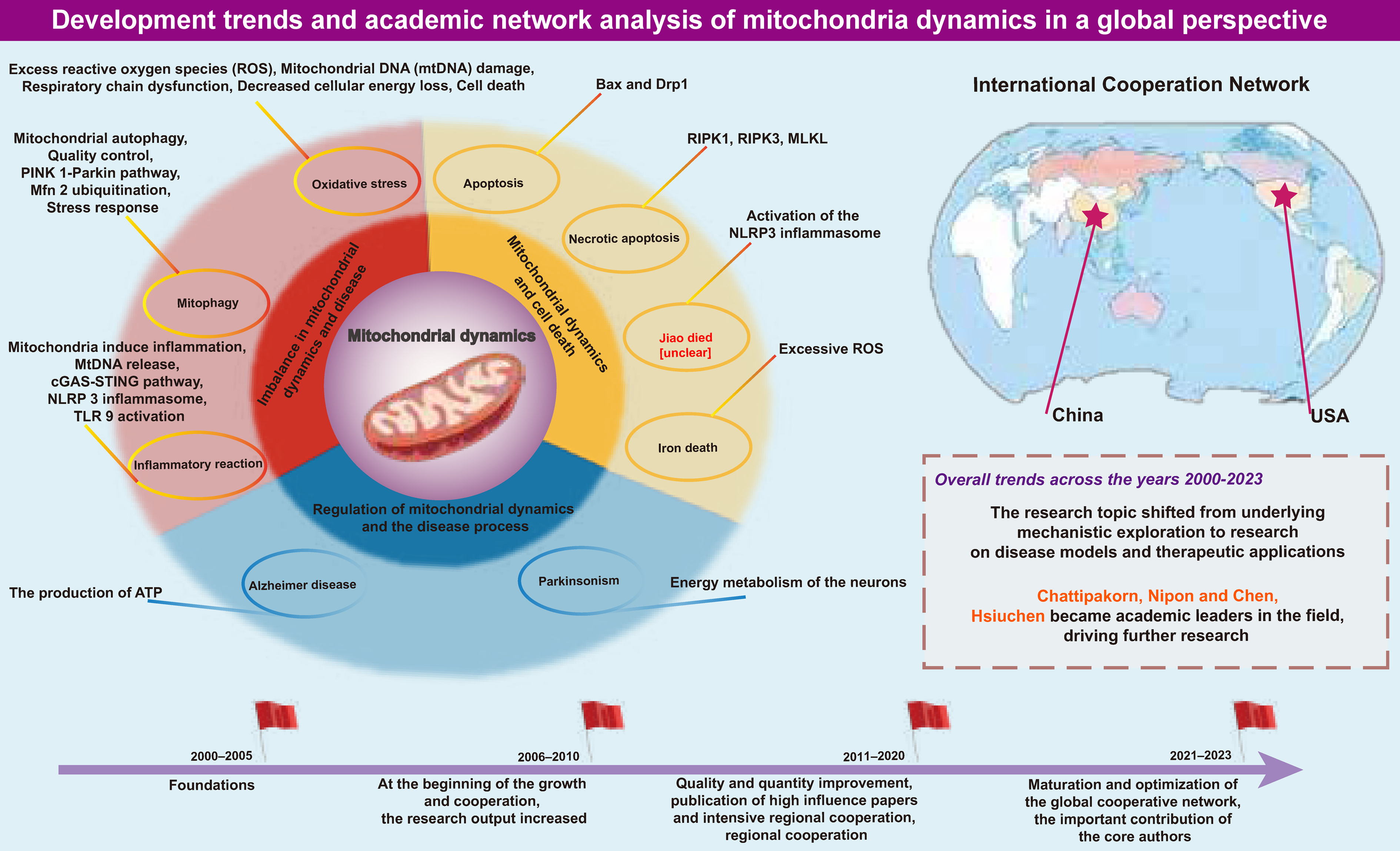 Graphical abstracts