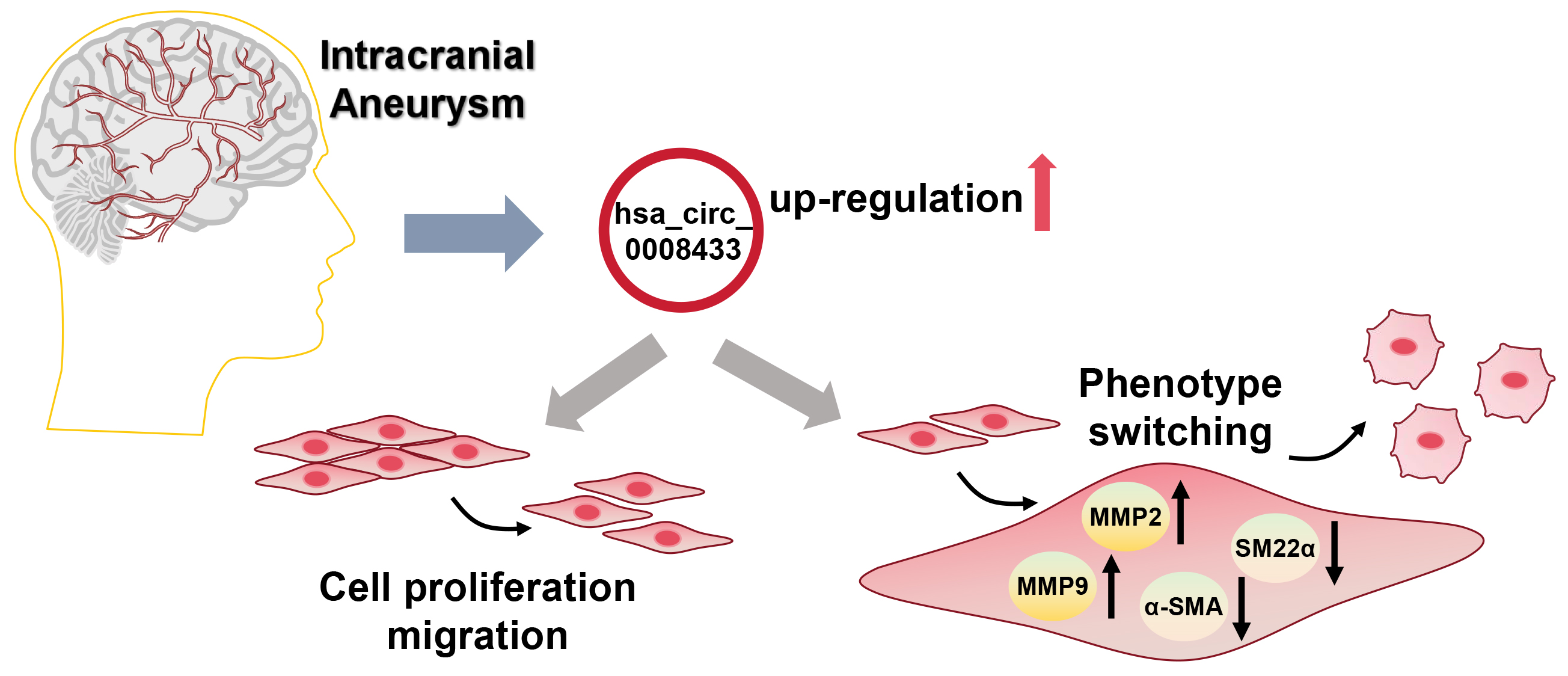 Graphical abstracts