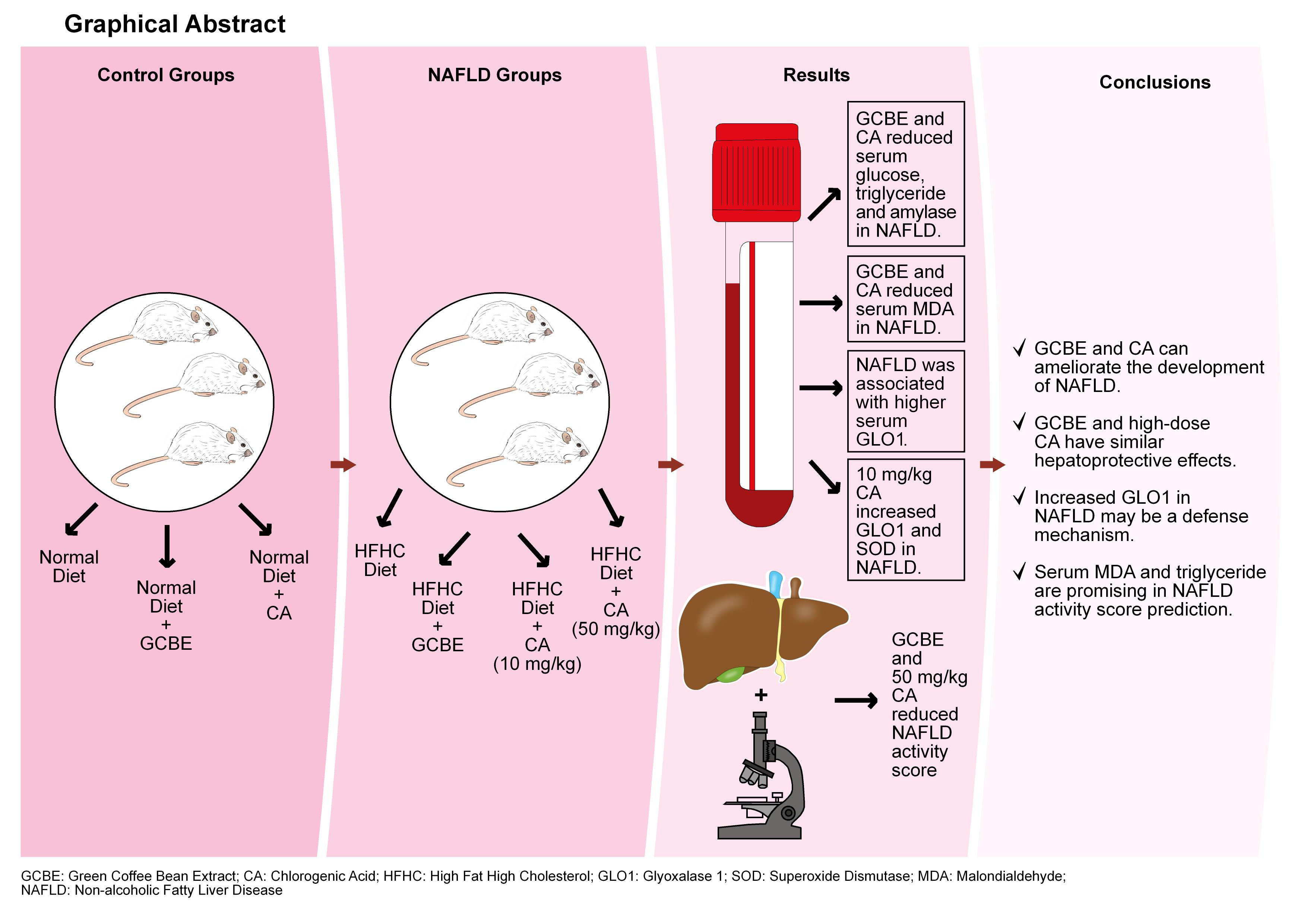 Graphical abstracts