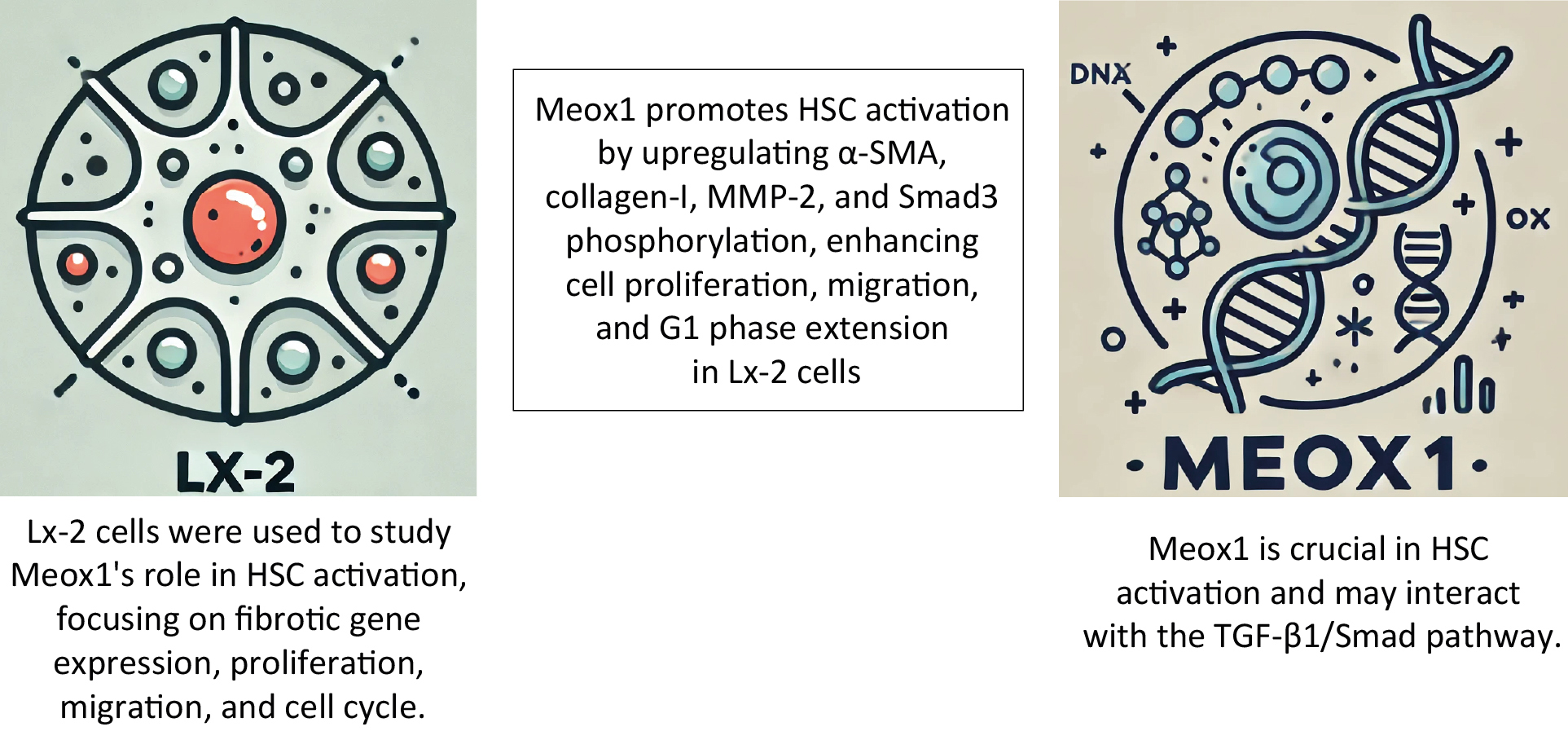 Graphical abstracts