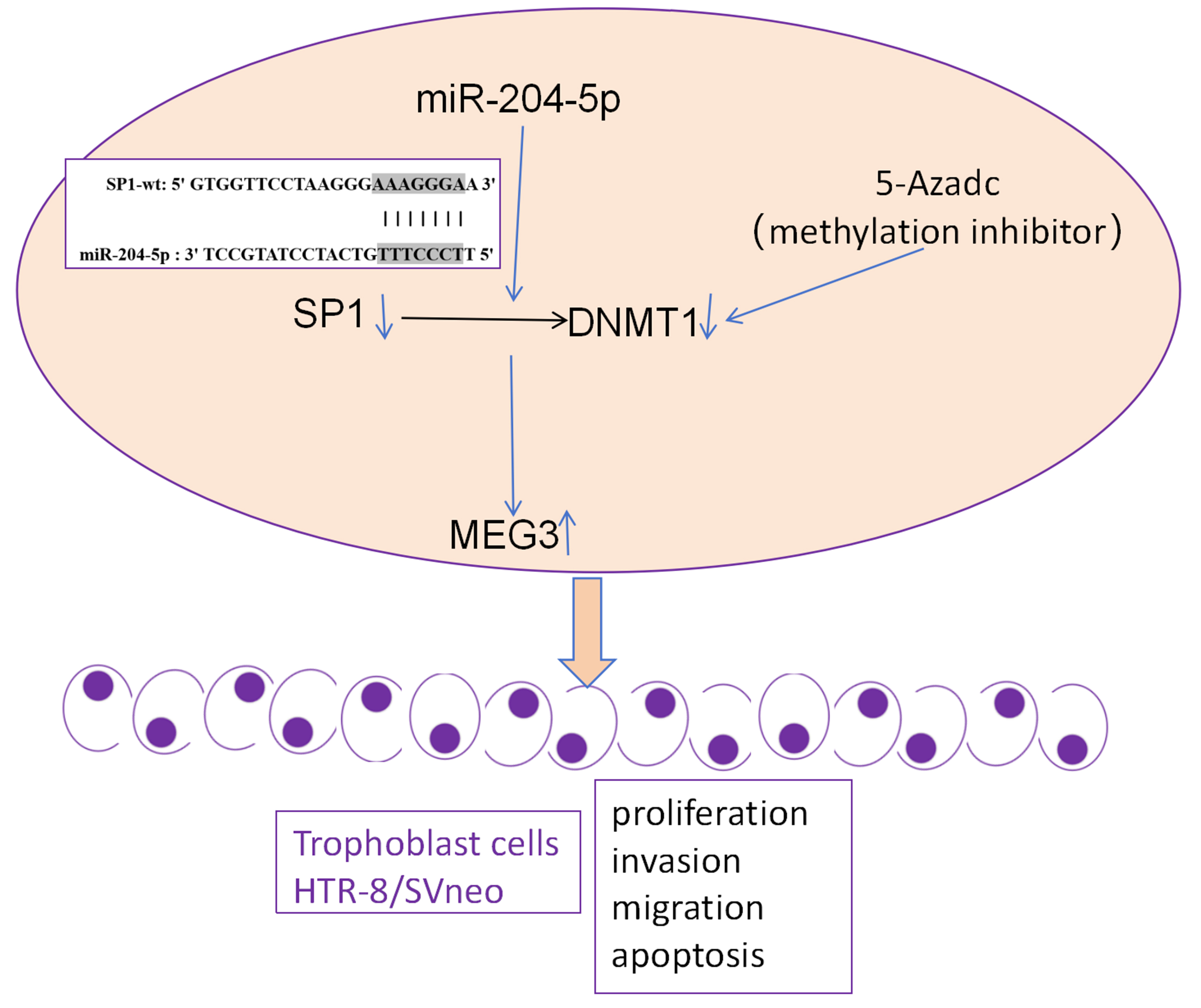Graphical abstracts