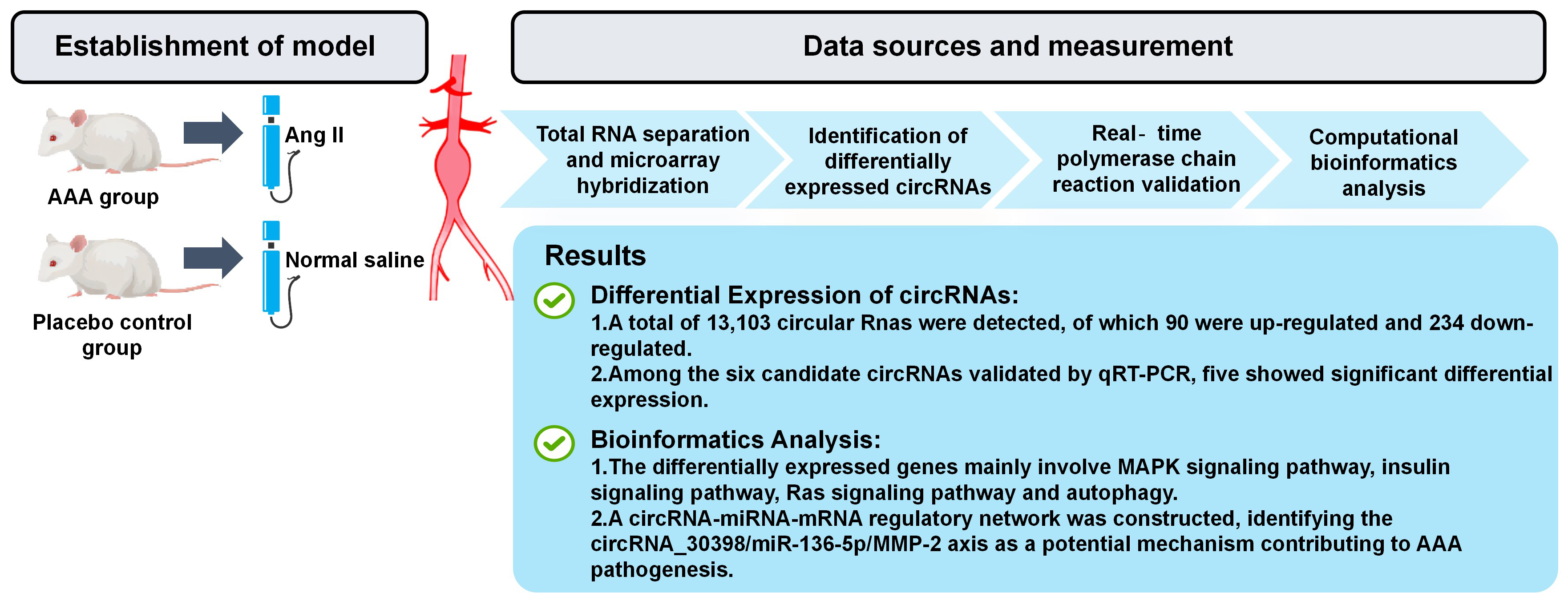 Graphical abstracts
