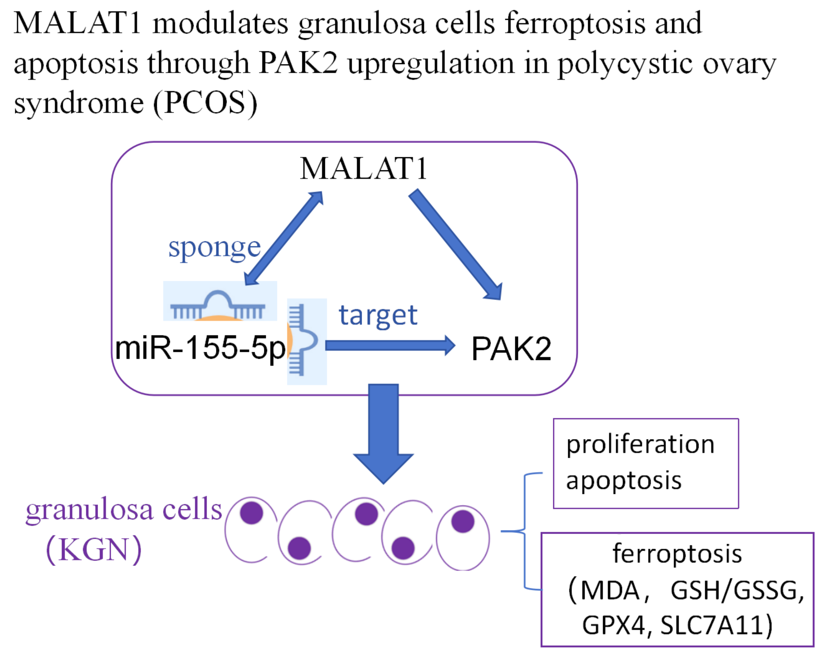 Graphical abstracts