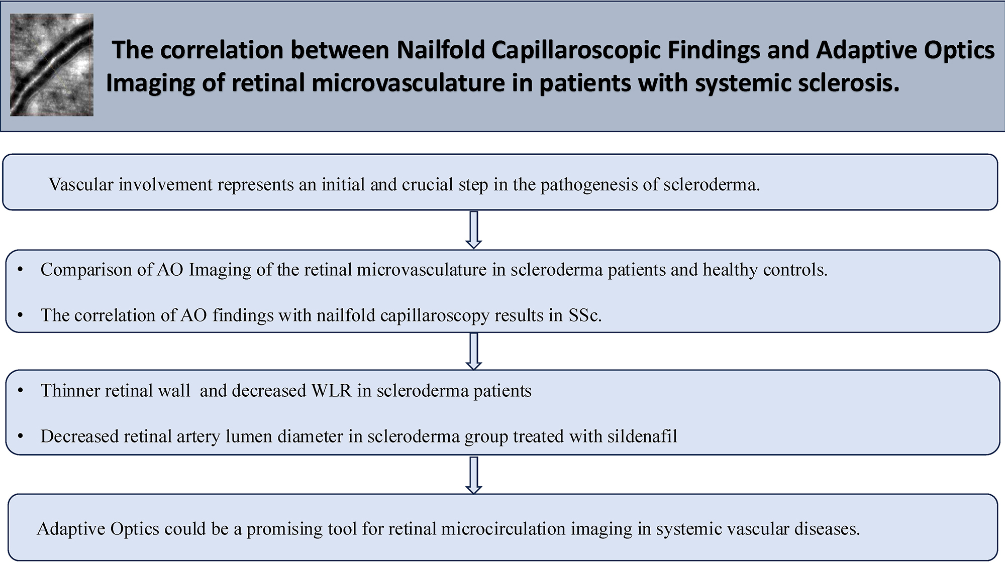 Graphical abstracts