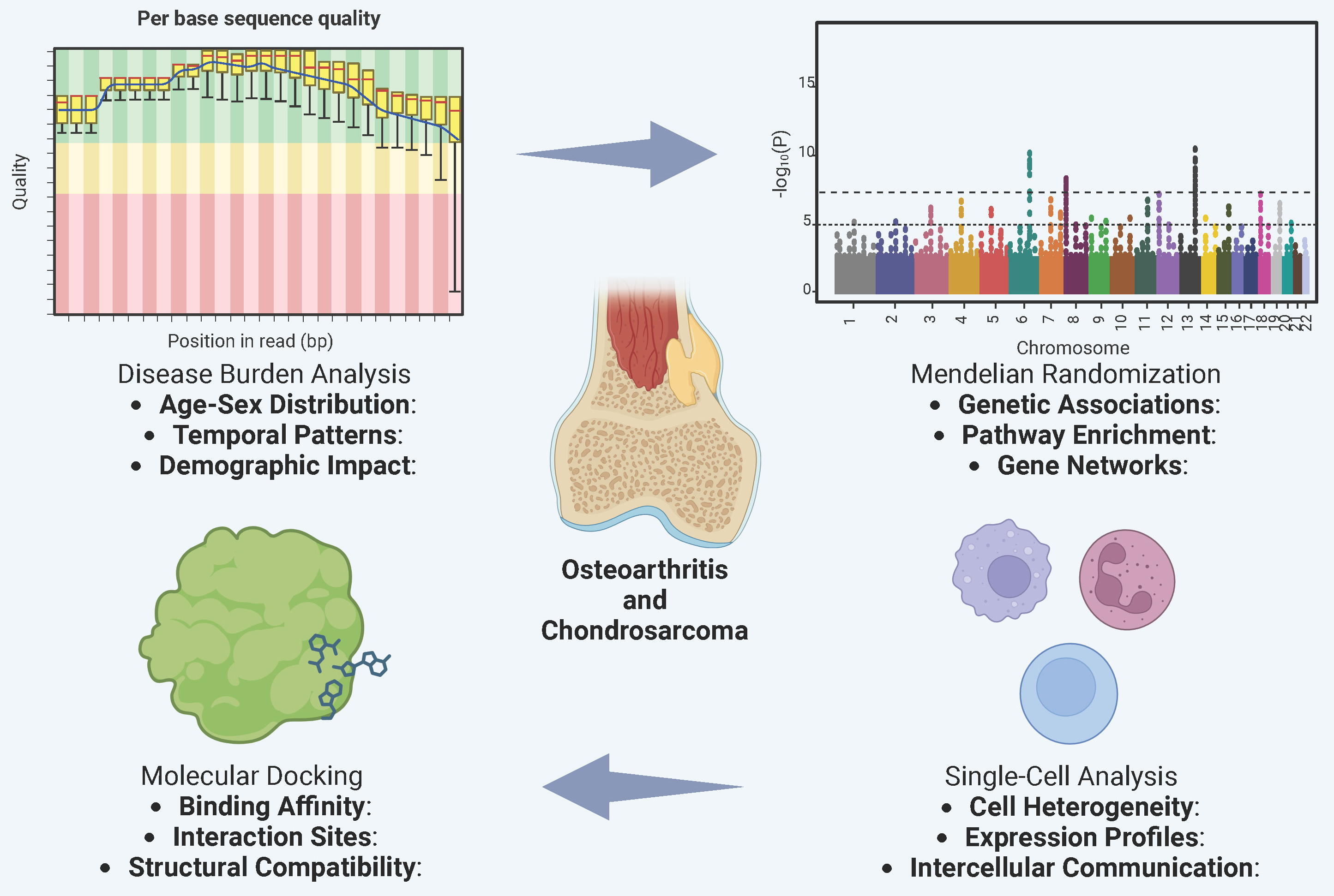 Graphical abstracts