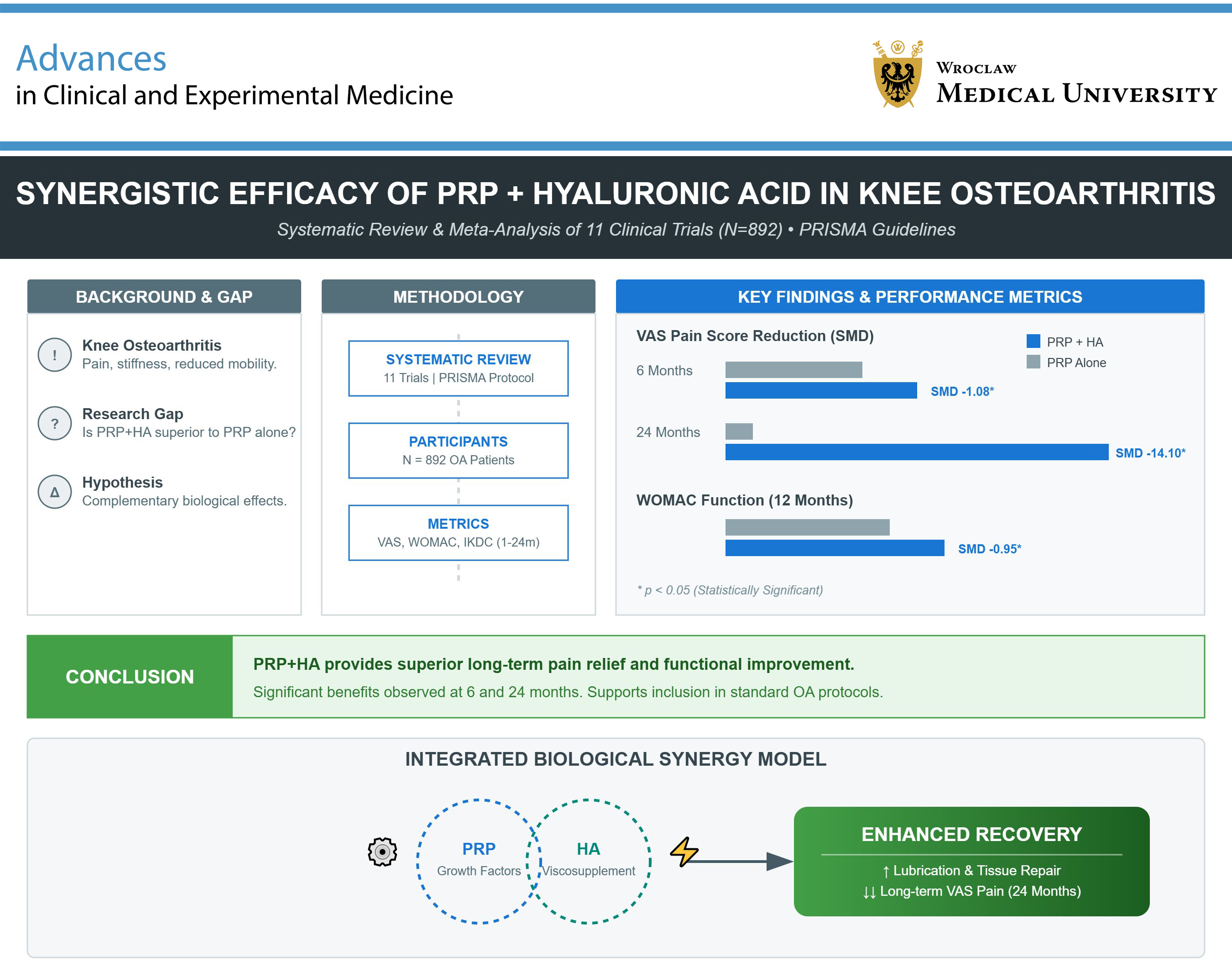 Graphical abstracts