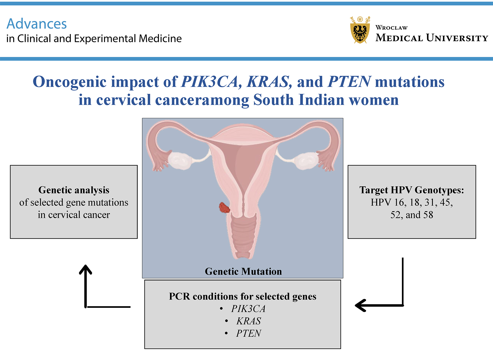 Graphical abstracts