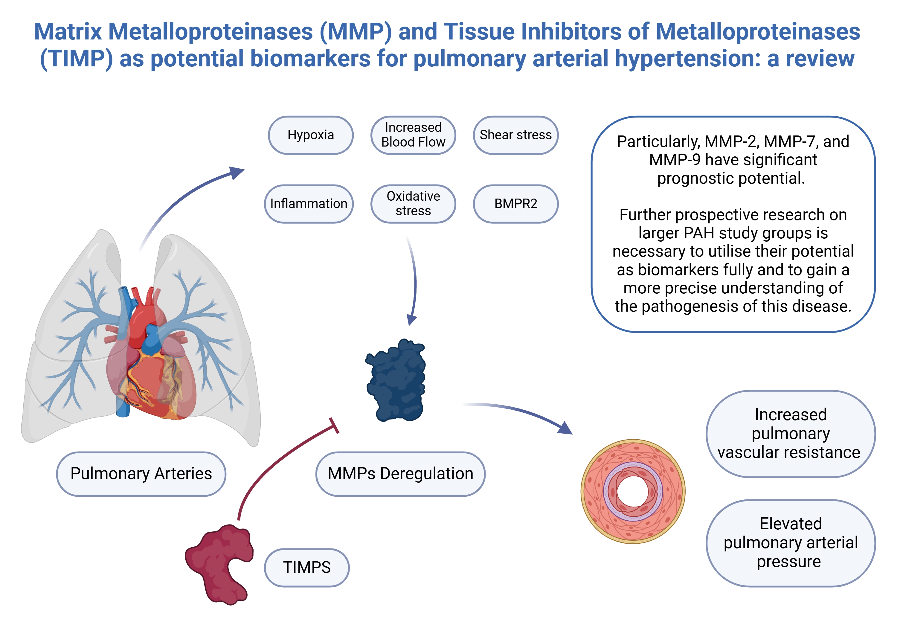 Graphical abstracts