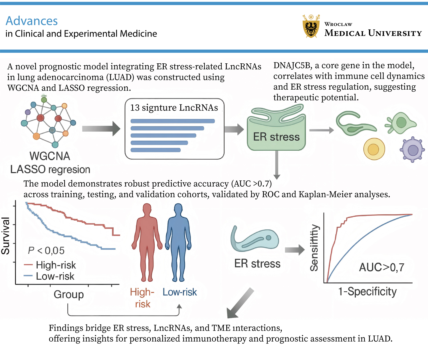 Graphical abstracts