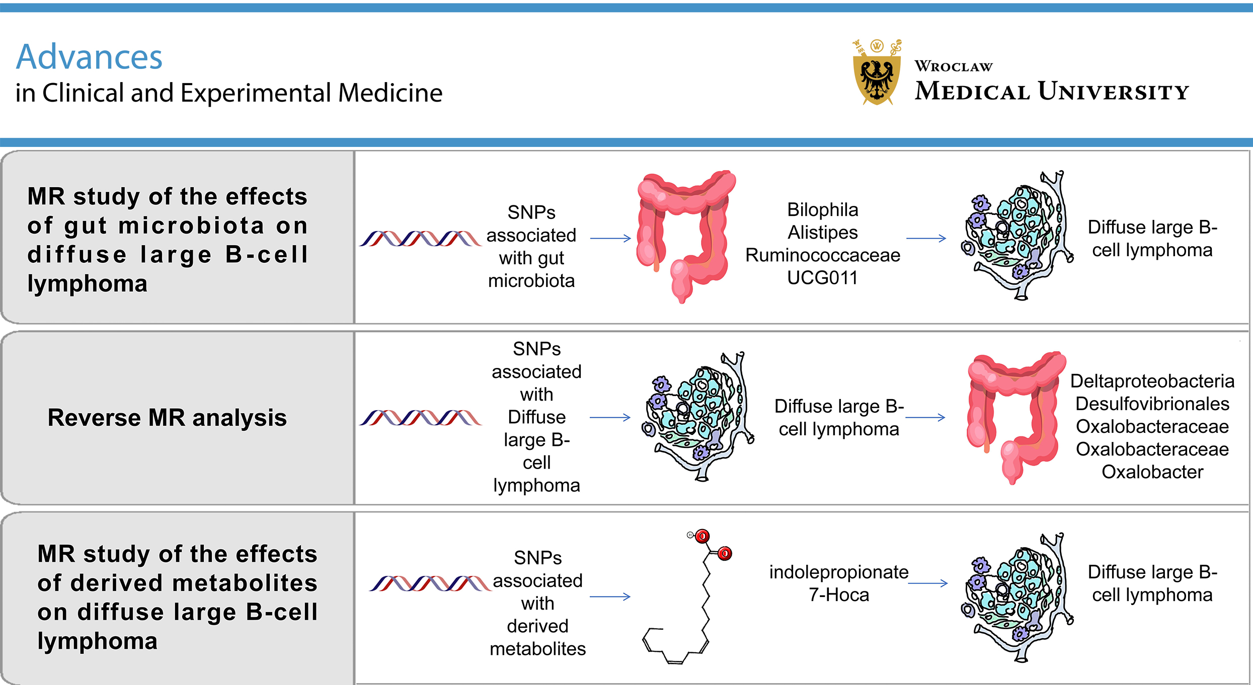 Graphical abstracts