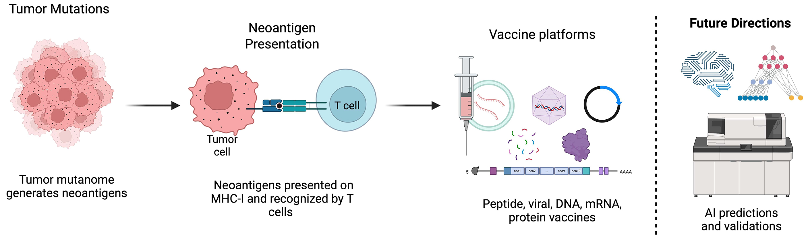 Graphical abstracts