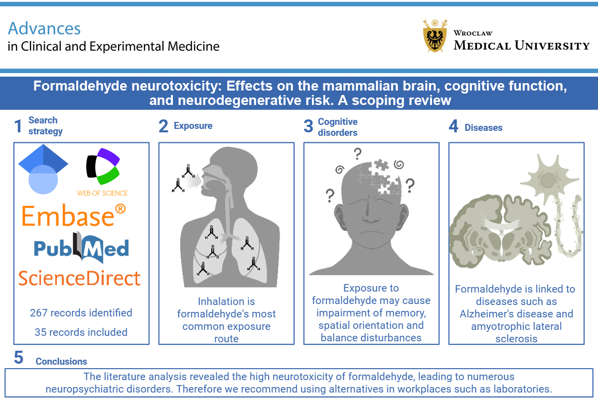 Graphical abstracts