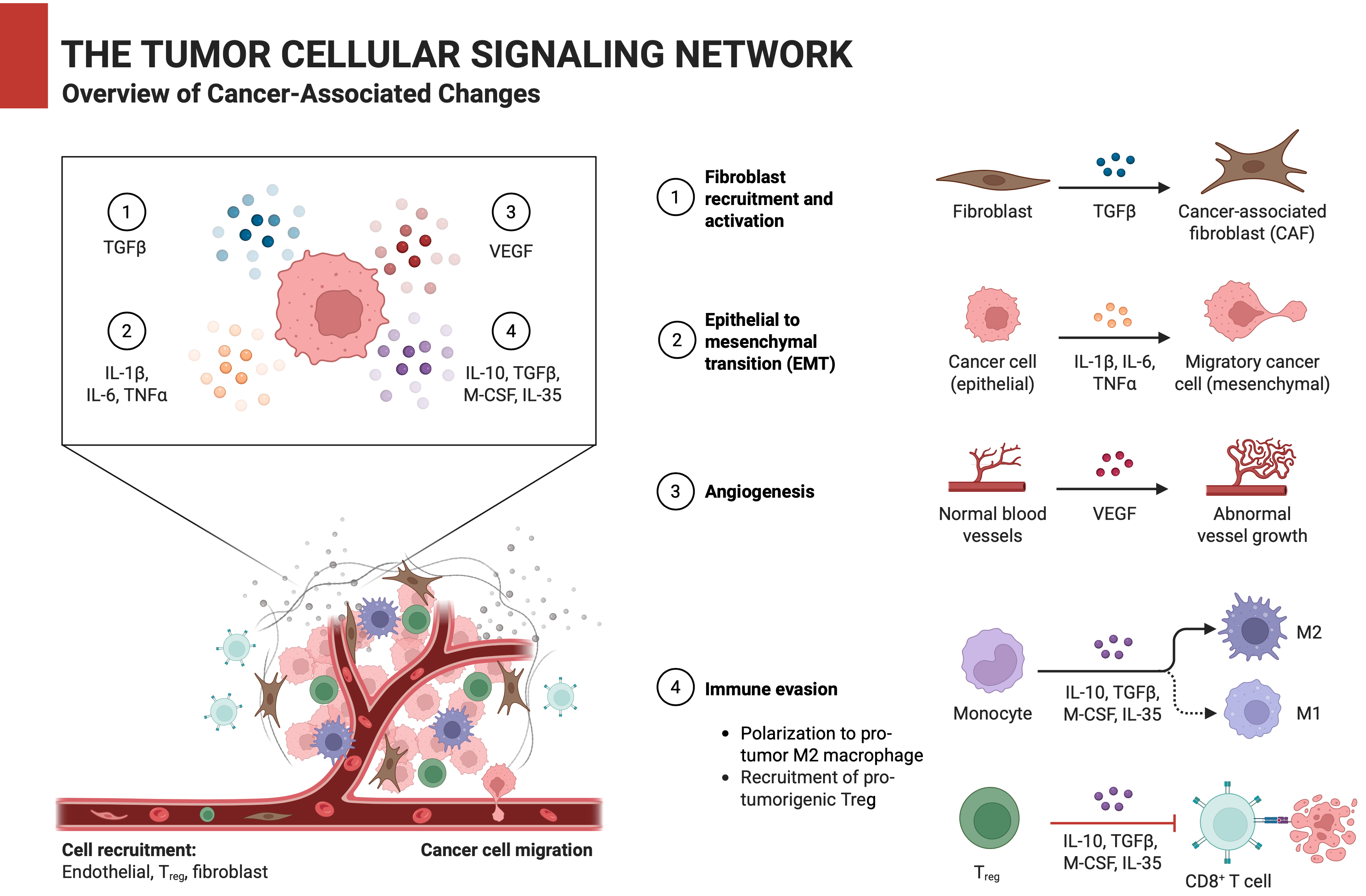 Graphical abstracts