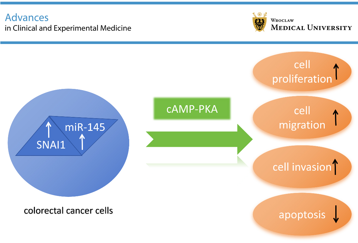 Graphical abstracts