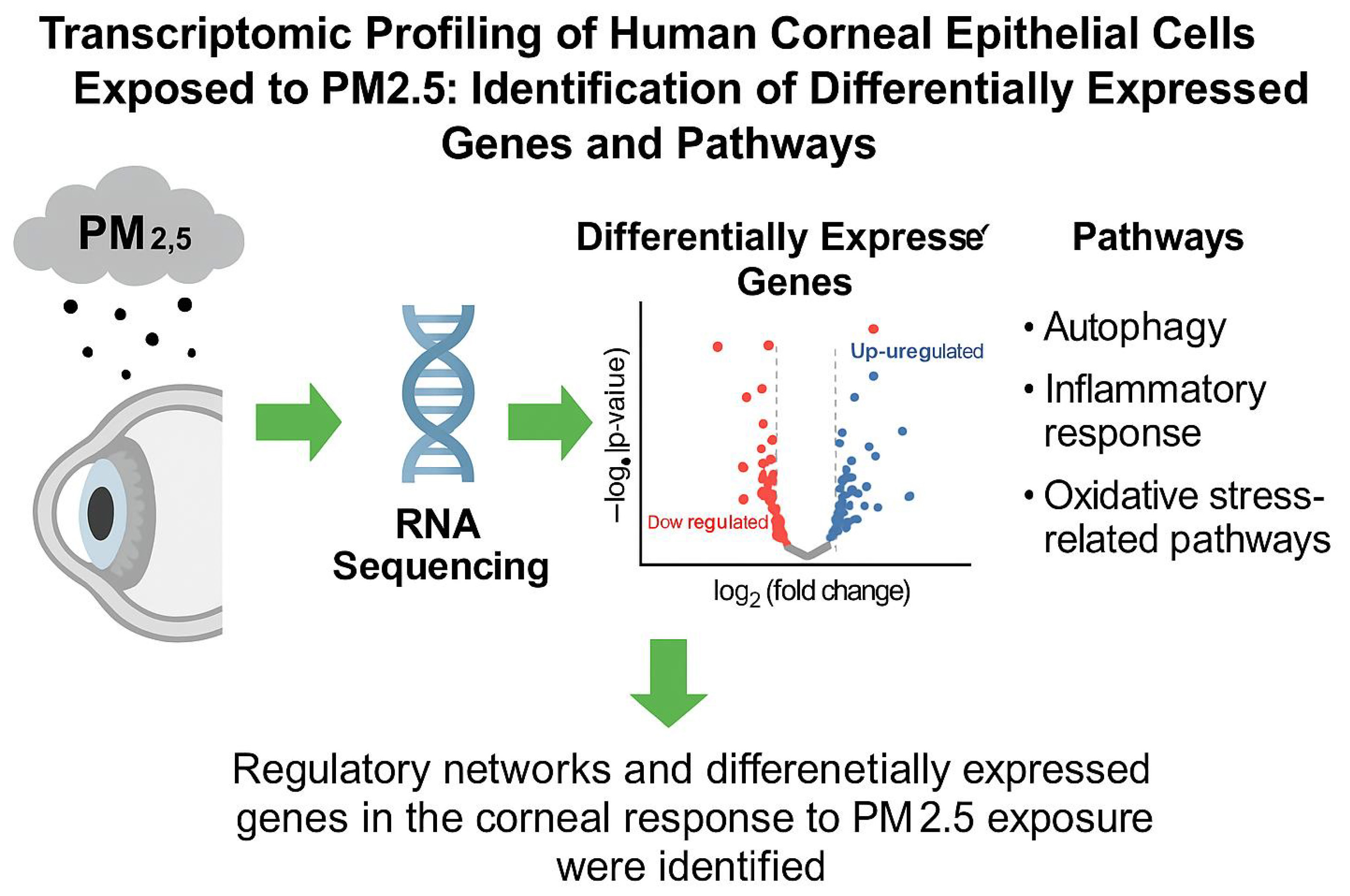Graphical abstracts