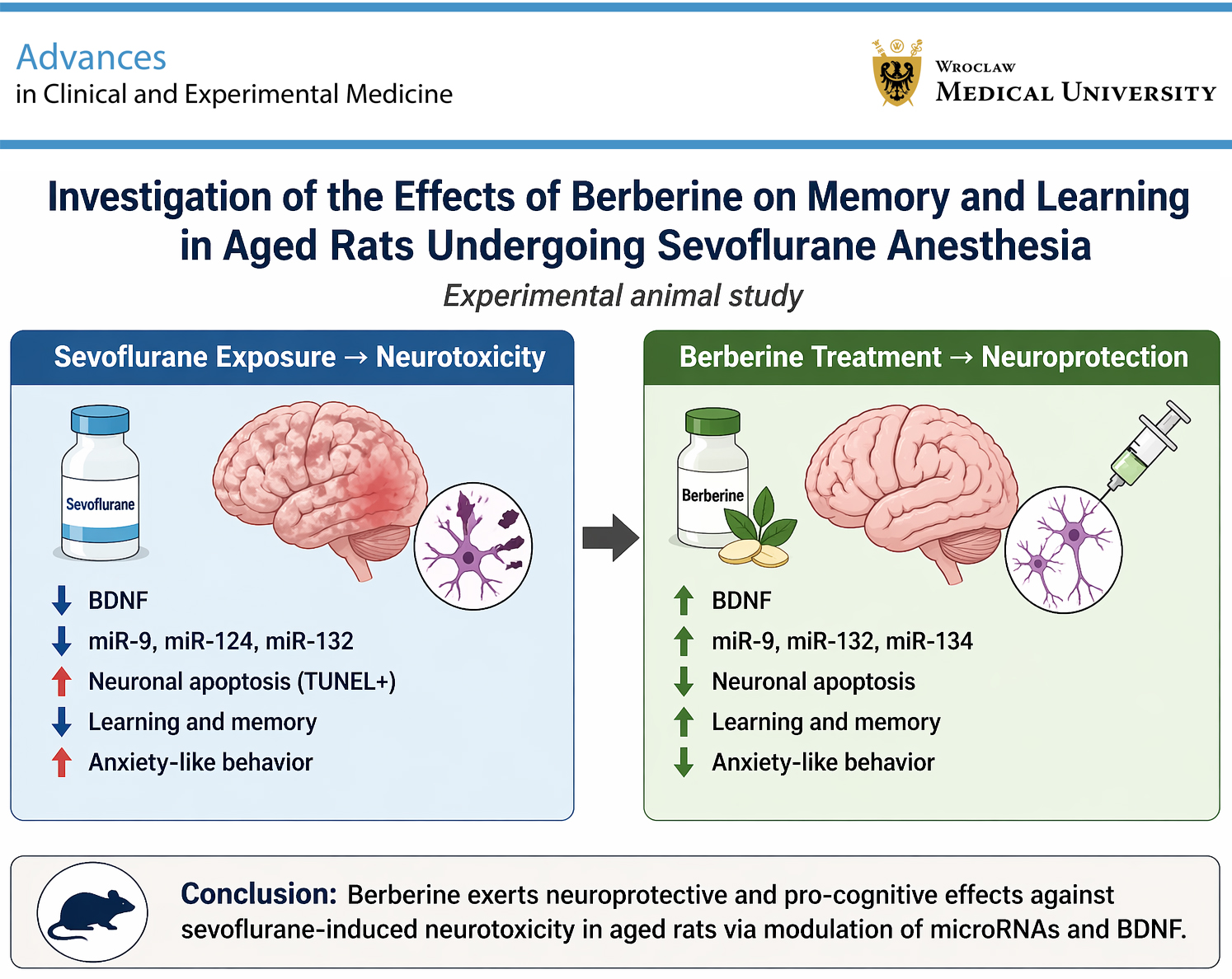 Graphical abstracts