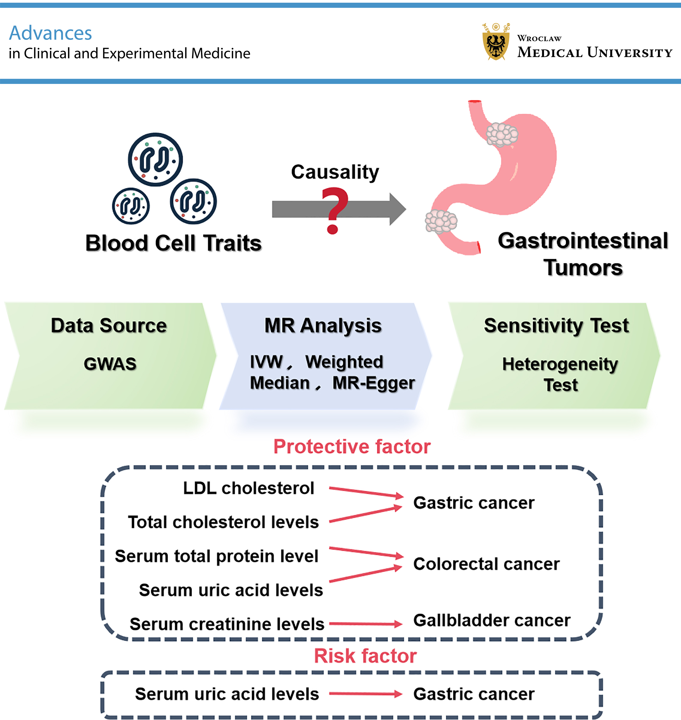 Graphical abstracts
