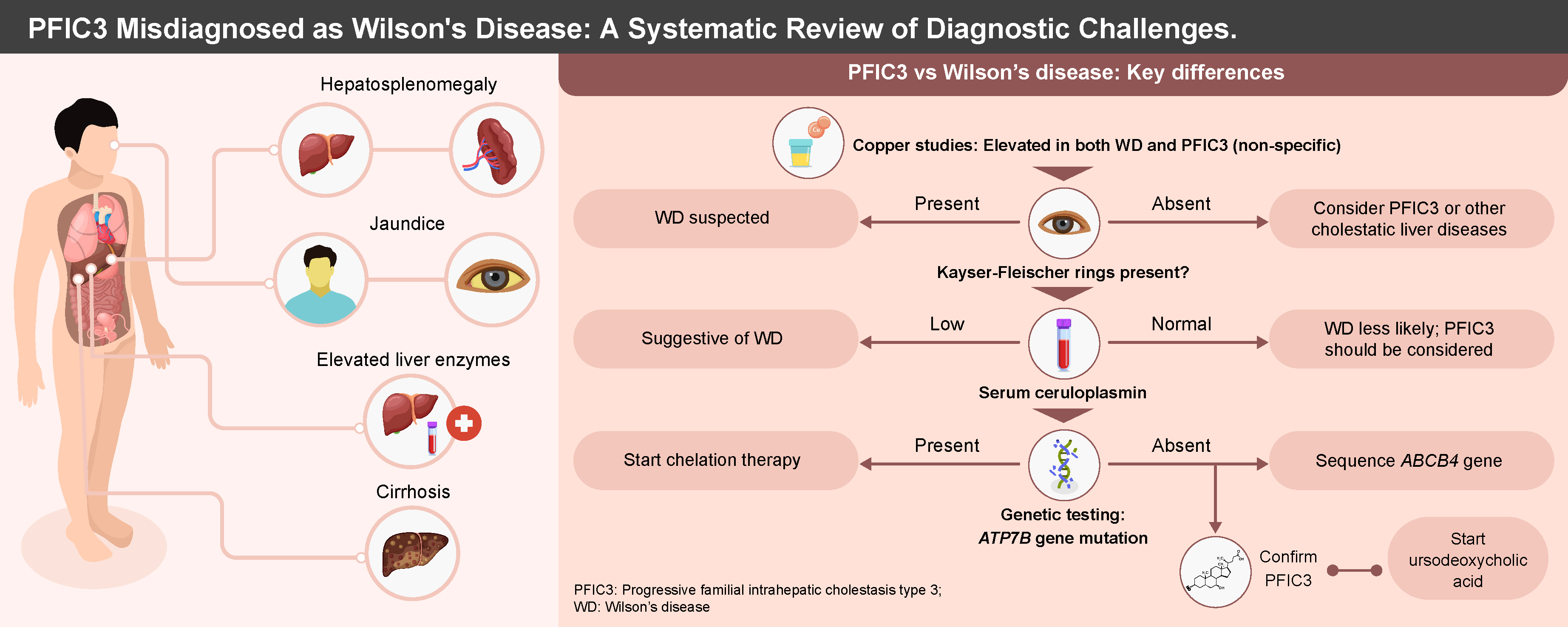 Graphical abstracts